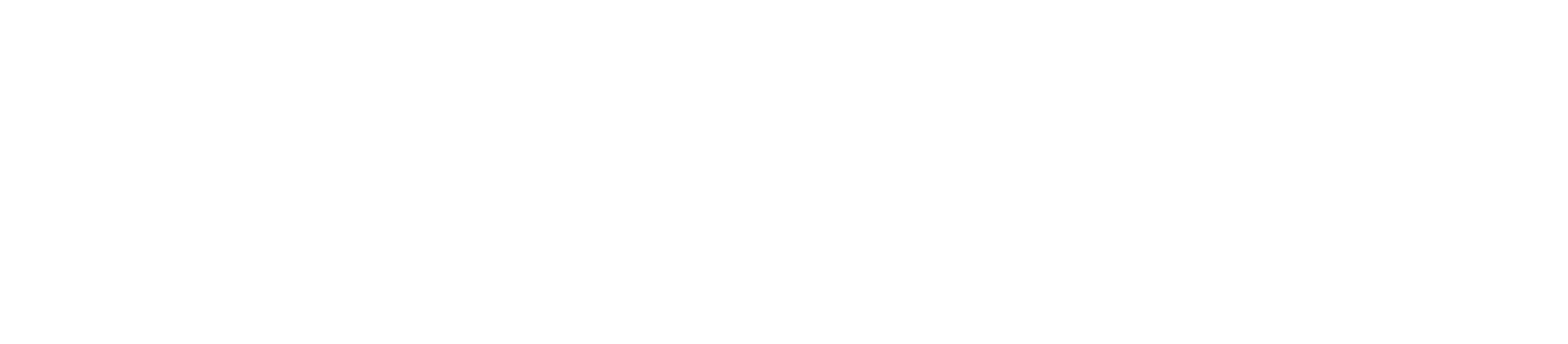 OZOPADANGOS.LT