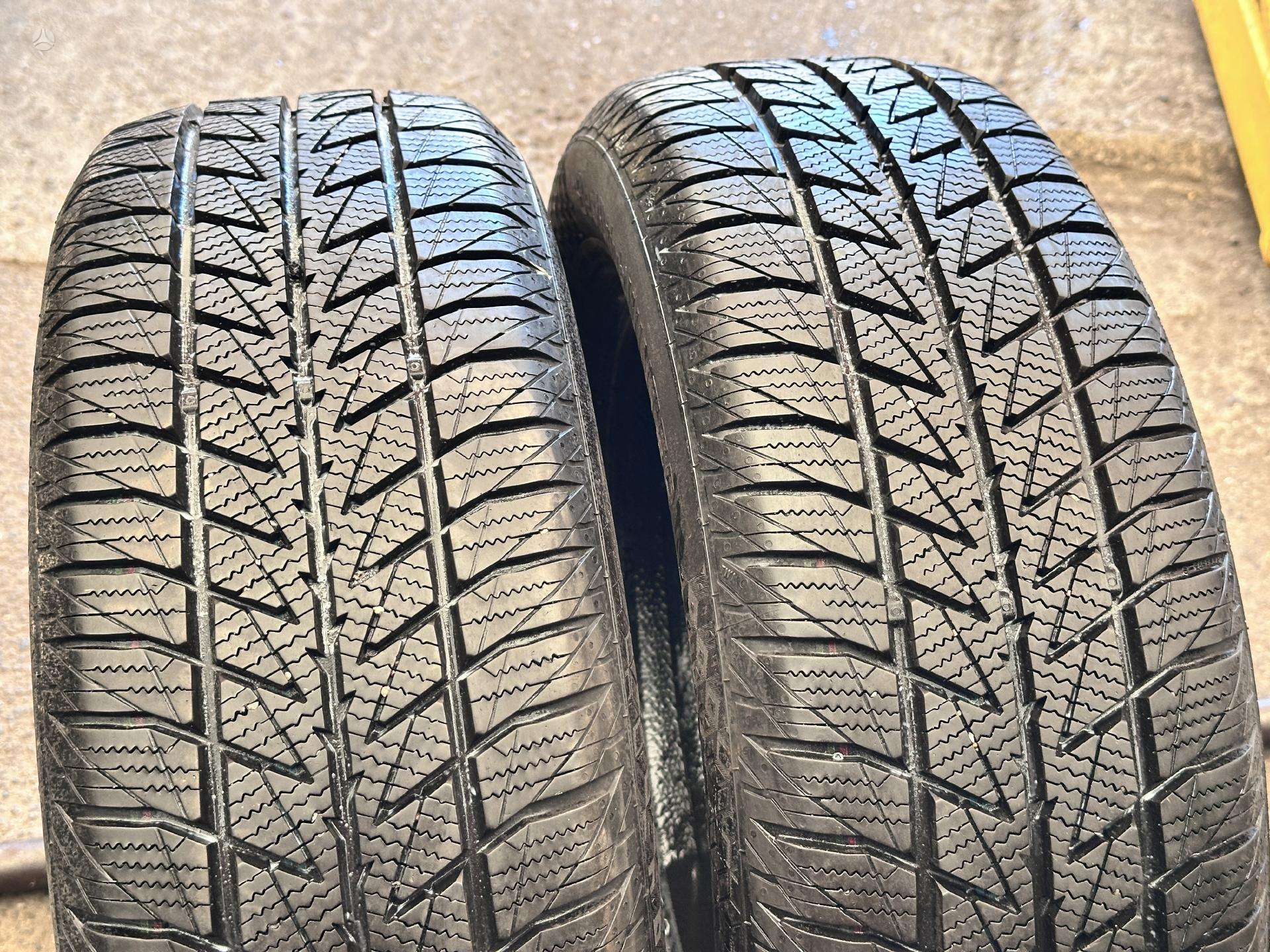 Žieminės padangos 205/60R16 Kita BestDrive