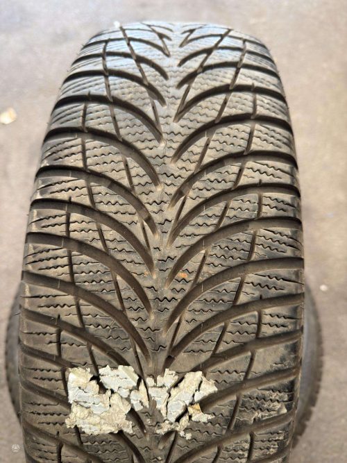 Žieminės padangos 205/60R16 Goodyear UltraGrip 7